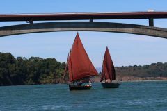 IMG_0905-scaled