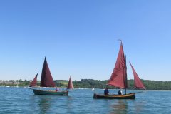 IMG_0981-scaled
