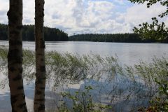 20240802120508_4H5A1738-scaled