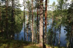 20240802121905_4H5A1741-scaled