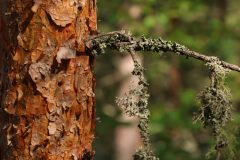 20240802122726_4H5A1750-scaled