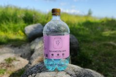 IMG_20240709_110731-scaled