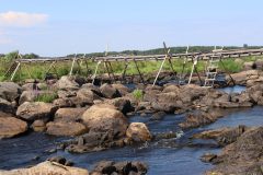 20240724144925_4H5A0595-scaled