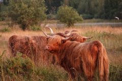 20240709223911_4H5A8920-scaled