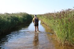 20240710183336_4H5A9026-scaled