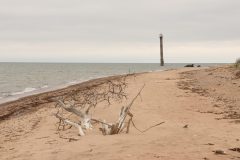 20240711133610_4H5A9100-scaled