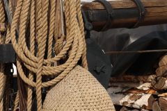 20240801161924_4H5A1671-scaled