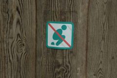 20240704185730_4H5A8222-scaled